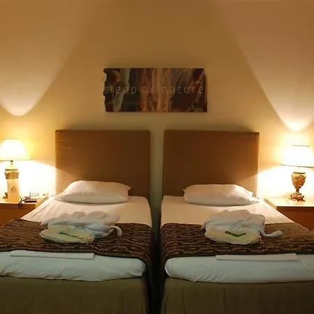 Le Palace Hotel